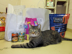 Photo of cat with donations